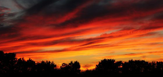 sunset_cropped.jpg