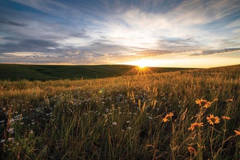 sunset over an open field